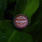 Backbone Coffee Single Serve Pod – 18 Count / 24 Count - Backbone Coffee Company